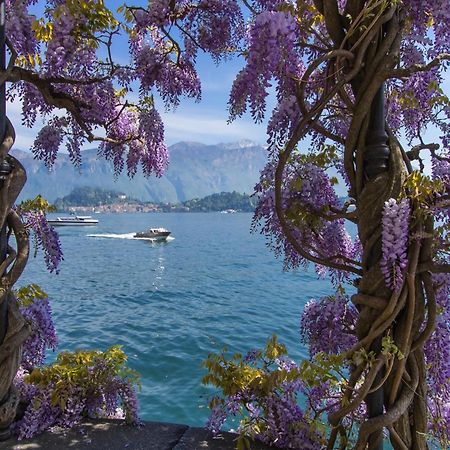 Como Lake Modern Apartament Ulivi Appartement Mezzegra Buitenkant foto