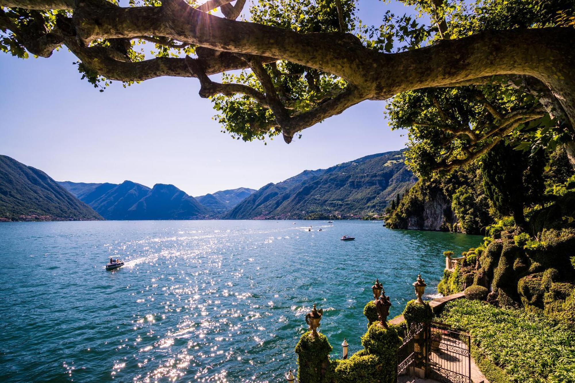 Como Lake Modern Apartament Ulivi Appartement Mezzegra Buitenkant foto